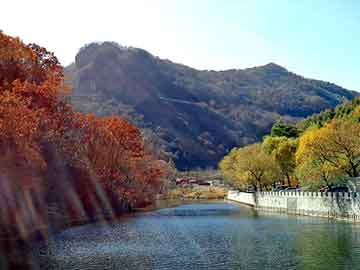 管家婆黑白马报图库，天峻seo培训